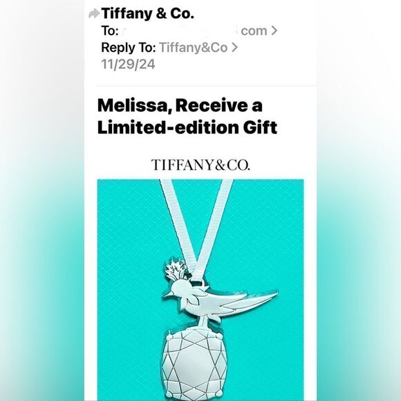 Tiffany & Co. Limited Edition Schlumberger Charm with Box, Bag and Pouch - Picture 5 of 5